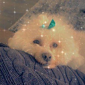 Meet your Posher, Monique